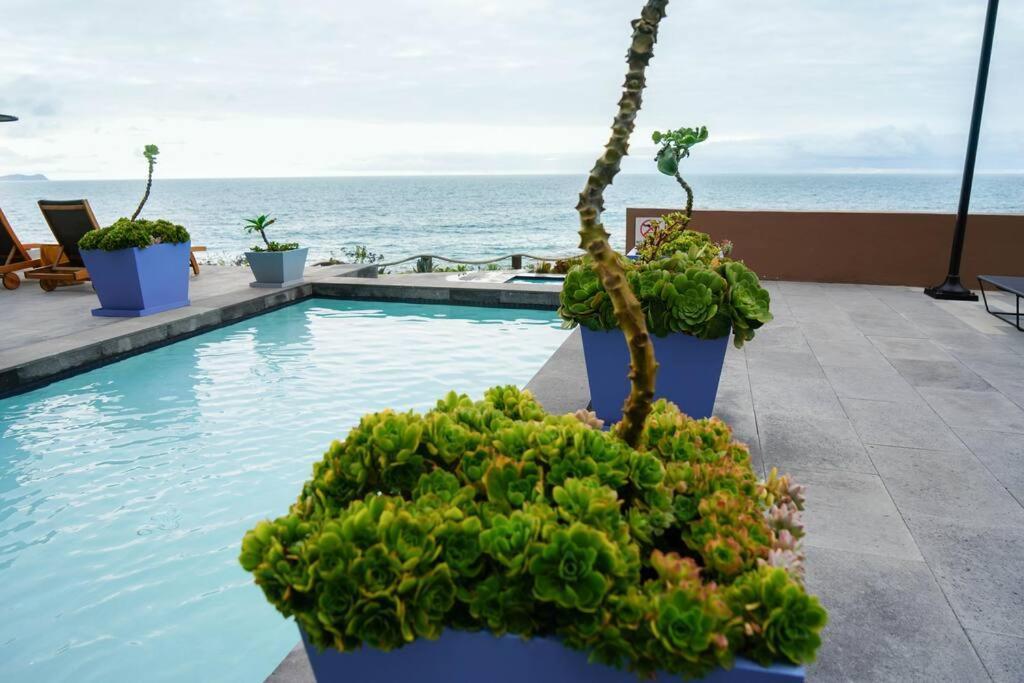 Hotel Suite Luxe Sunset Tijuana Ngoại thất bức ảnh